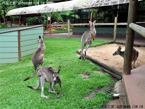 【图】感受独特的风土人情 澳大利亚精彩游记