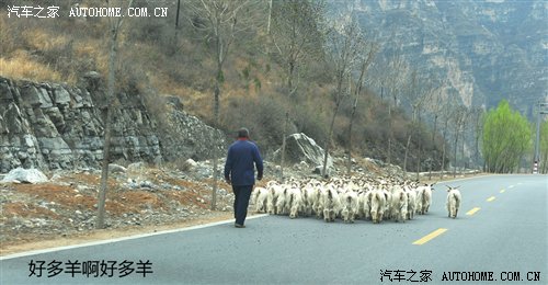 ֮