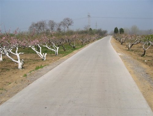 【图】南通:亮化工程引来上市企业落户