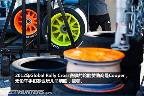 WRC RallyCross(17) ҳ 