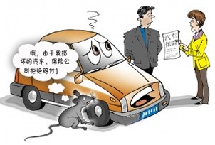 【图】汽车发动机被老鼠损坏 保险公司全额赔