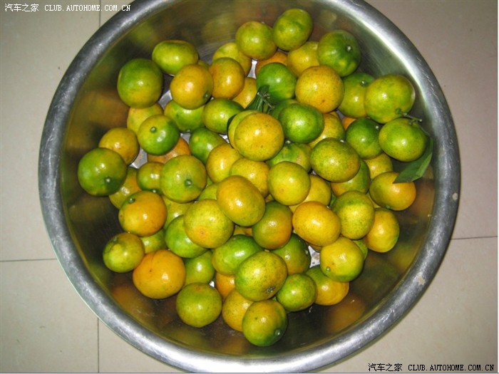 【图】温州苍南到杭州临安全程500多公里,走省