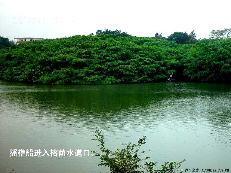 四年级上册课文教学要点及资料补充 3、鸟的天