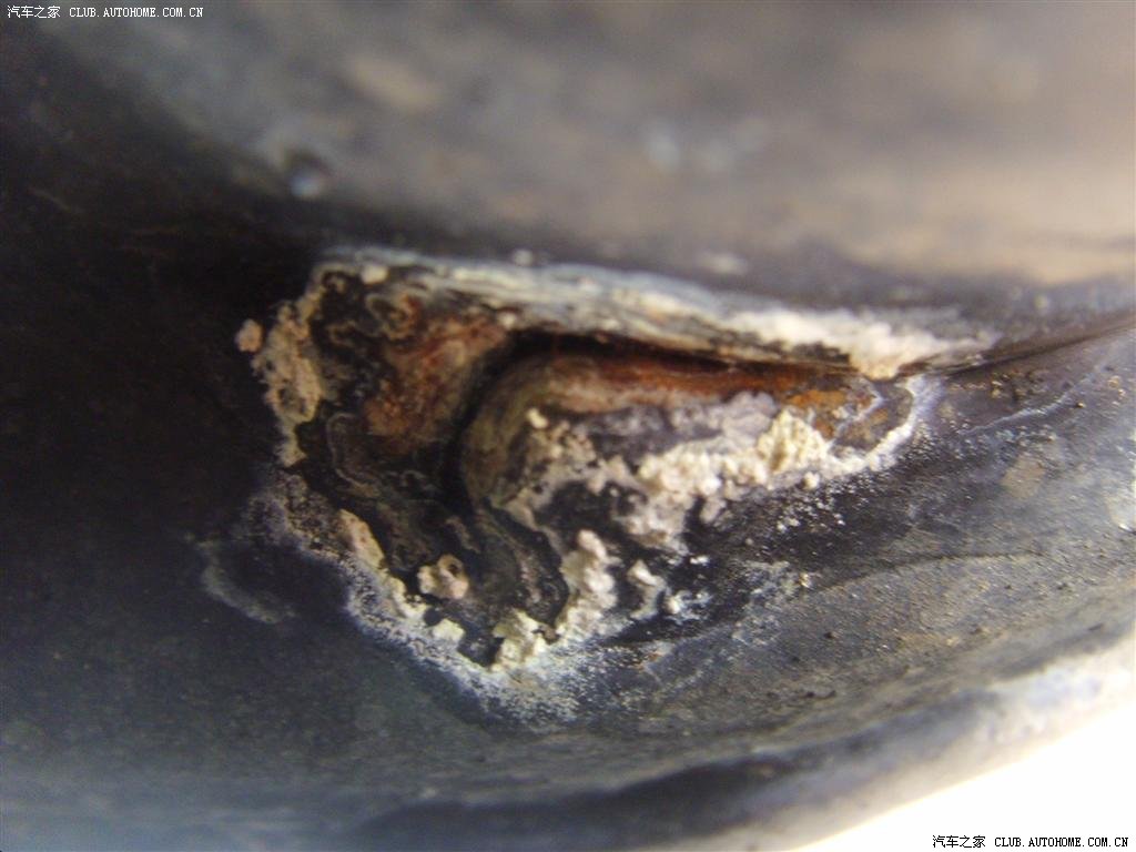 【图】【我在淘宝北京昊星买的SEBRING长肿