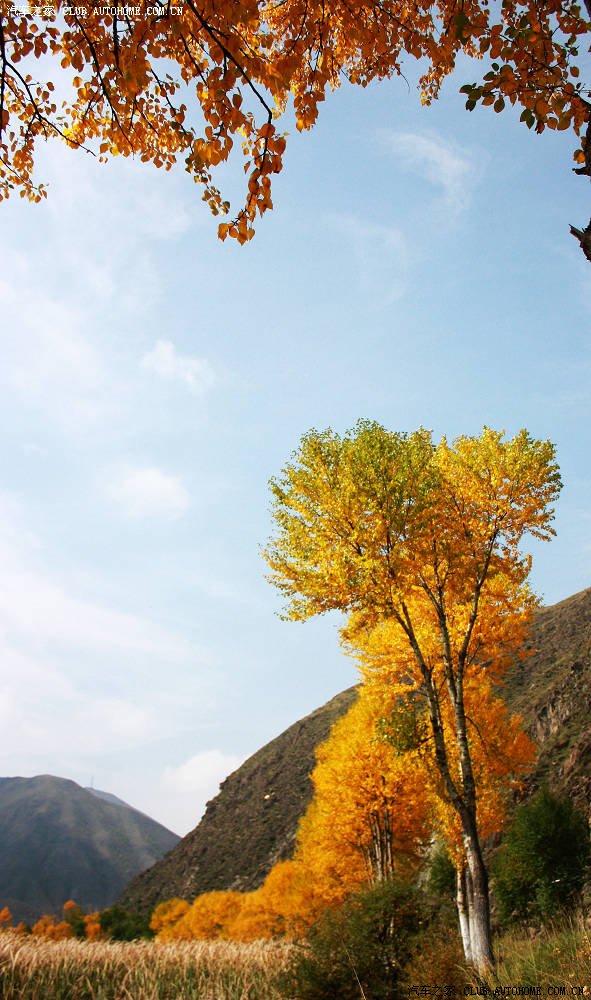 【图】09版西游记正传-上海-青海湖-甘南-九寨