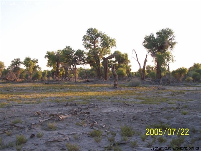 【图】夕阳红游记第一篇:16000公里新疆西藏