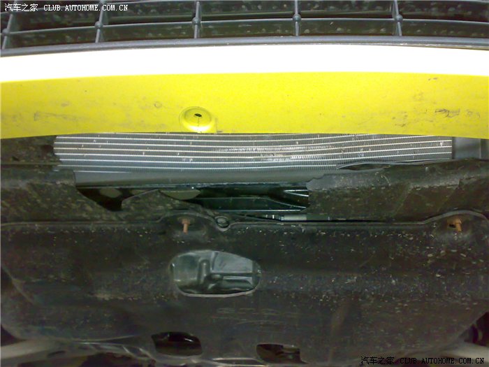 车子撞狗后的损坏情况大家看看定损应该怎么定