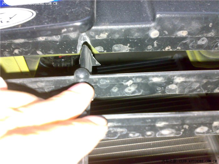 车子撞狗后的损坏情况大家看看定损应该怎么定