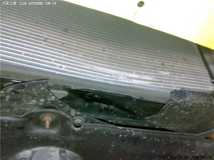 车子撞狗后的损坏情况大家看看定损应该怎么定