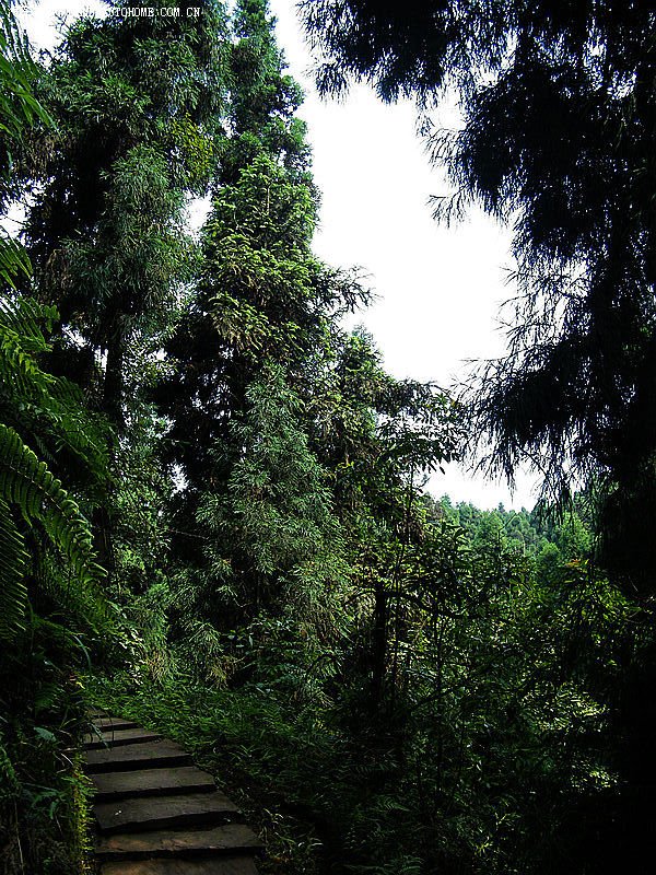 玉屏山--一个很少让人知道的地方_澳门