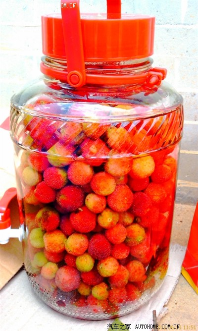 周末去玩农家乐 摘杨梅买章贡酒放冰糖 自制功