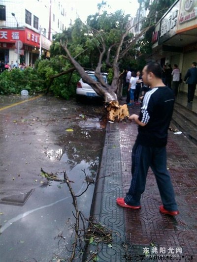 东莞冰雹砸死人了。明哥没事哈哈_SLS赛威论