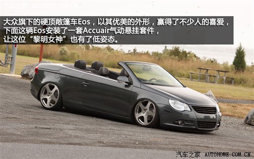 汽车之家 大众(进口) 大众eos 2010款 2.0tsi dsg 月夜版