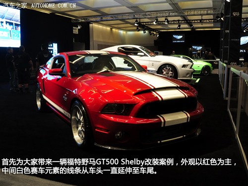 ܇֮ (M) ҰR 2013 GT500 Shelby Cobra