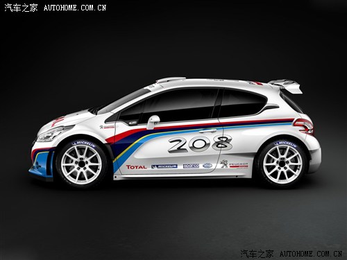 ܇֮ (bio)(M(jn)) (bio)208 2013 R5 Rally car