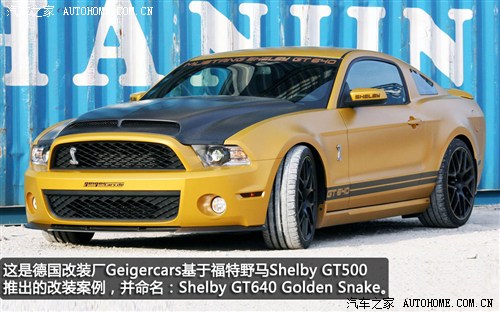 ظ(M(jn))ҰR2013 GT500 Shelby Cobra