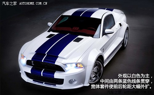 ظ(M(jn))ҰR2013 GT500 Shelby Cobra