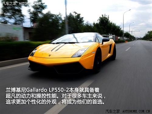 ܇֮ m Gallardo 2011 LP550-2 Bicolore