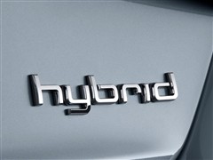 W W(M(jn)) WA8 2013 Hybrid