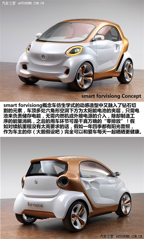 ܇֮ smart smart forvision 2011 Concept