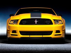  (M(jn)) ҰR 2013 Boss 302