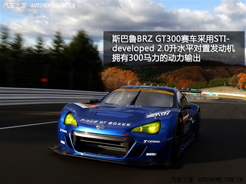 ܇֮ ˹ ˹BRZ 2013 