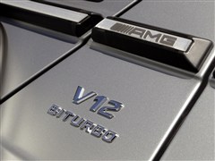  AMG GAMG 2013 G65 AMG