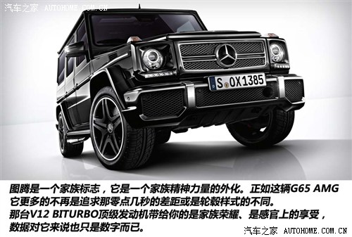 Y YAMG YGAMG 2013 G 65 AMG