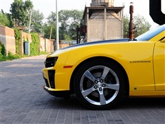 ֮ ѩ ѩCamaro 2010 2SS