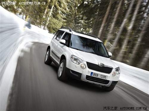 ˹´ ˹´() yeti 
2010 