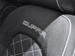   Ibiza 2009 Cupra