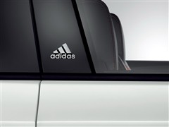 大众 大众(进口) 高尔夫(进口) 2010款 GTI adidas