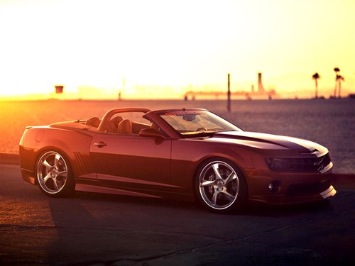 ܇֮ ѩm(M) ~_Camaro 2011 Convertible