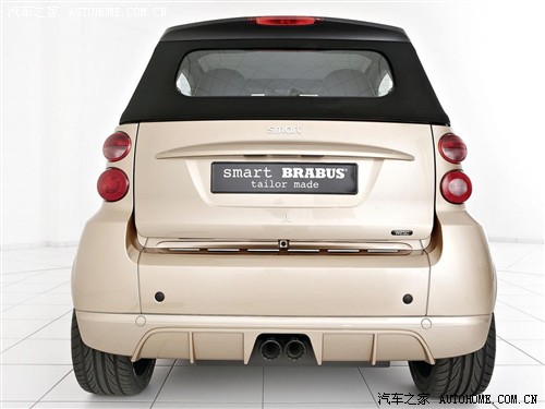 smart smart smart fortwo 2011 1.0T 