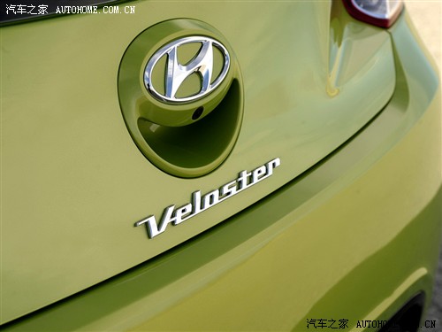 F(xin) F(xin)(M(jn)) Veloster 2012 