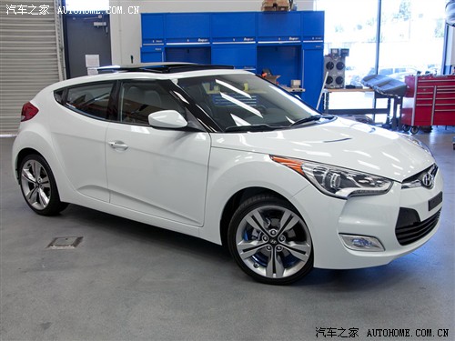 F(xin) F(xin)(M(jn)) Veloster 2012 