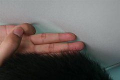 ֮