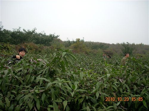 ֮