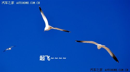 ֮