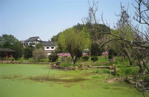 ֮