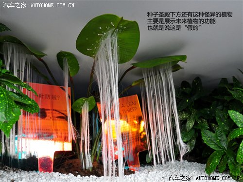 ֮