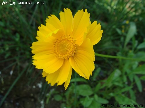 ֮