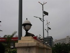֮