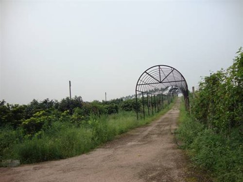 ֮