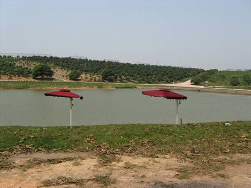 ֮