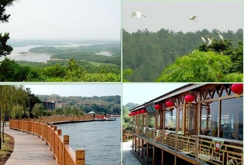 ֮