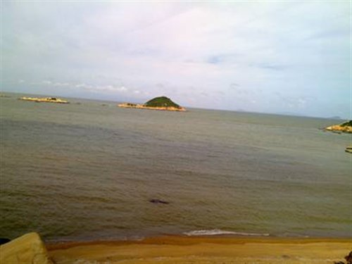֮