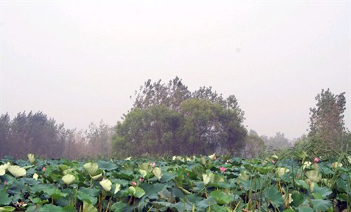 ֮