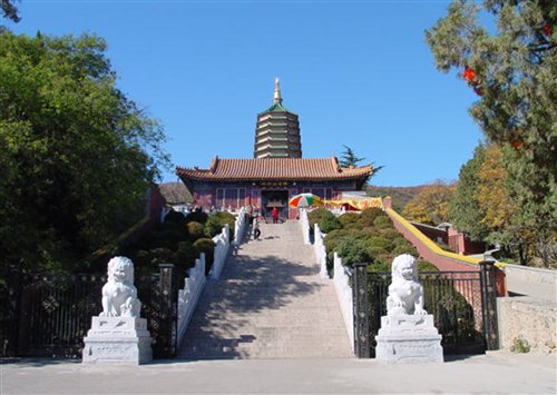 ֮