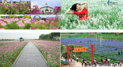 ֮